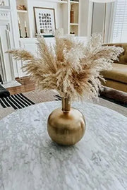 4000 Pampas Grass Seeds White Cortaderia Selloana Seeds Perennial Flowering ORNIMENTAL Grasses FEATHERY Blooms Wedding Holiday Festival Decor - The Rike Inc