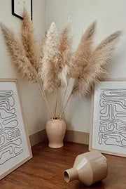 4000 Pampas Grass Seeds White Cortaderia Selloana Seeds Perennial Flowering ORNIMENTAL Grasses FEATHERY Blooms Wedding Holiday Festival Decor - The Rike Inc