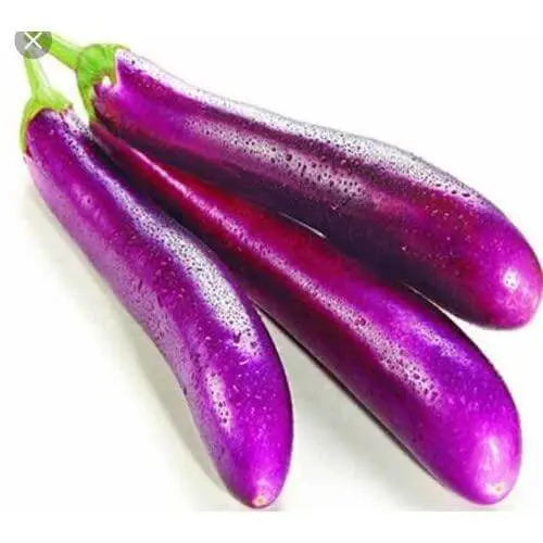 600 Seeds Long Purple Eggplant Seeds Non-GMO Vegetable Seeds aubergine seeds or brinjal seeds garden seeds - The Rike Inc