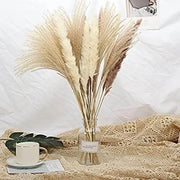 3000 Pampas Grass Seeds White Cortaderia Selloana Seeds Perennial Flowering ORNIMENTAL Grasses FEATHERY Blooms Wedding Holiday Festival Decor - The Rike Inc