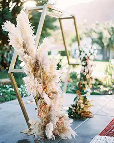 3000 Pampas Grass Seeds White Cortaderia Selloana Seeds Perennial Flowering ORNIMENTAL Grasses FEATHERY Blooms Wedding Holiday Festival Decor - The Rike Inc