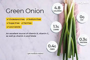 2500 Green Onion Seeds Scallion Seeds Spring Onions White Bunching Herb Seeds White Lisbon Onion Seeds - White Allium cepa Seeds - Beicoang Seeds - Vidalia Sweet Onion Chives Seeds Non-GMO - The Rike Inc