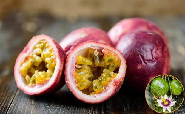 60 Passion Fruit Seeds Purple Granadilla Seeds Grenadelle Grenadine Passionflower Seeds Chanh Day Chanh Leo Passiflora - The Rike Inc