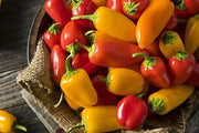 150 Seeds Sweet Pepper Seeds - Marconi Red, Vegetable Seeds| Non-GMO | Heirloom | Fresh Garden Seeds - The Rike Inc