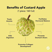20 Seeds Organic Sugar Apple Custard Apple for Planting Annona Squamosa Sweetsop Non GMO Delicious Sweet Fruits - The Rike Inc