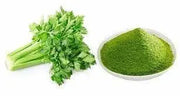 The Rike 100 Gram Celery Powder USA Grown Celery Detox and Cold Pressed, Boosts Immune System, Energy and Supports Gut Health, Rich in Immune Vitamin C and Minerals, Vegan - The Rike Inc