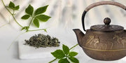 100 Gram Gynostemma Tea Leaf Herbal Tea Jiaogulan Herb Tea Jiaogulan Giao Co Lam Organic Dried Loose Leaf tea