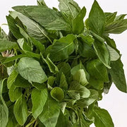 4500 Seeds Green Amaranth Seeds Rau Den Xanh - Yin Choi Edible Seeds Callaloo Thotakura Seeds - Chinese Spinach Seeds - Lal Shak - Redroot Amaranth Jamaican Callaloo Non-GMO - The Rike Inc