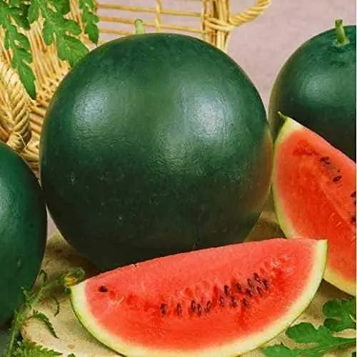 Sugar Baby Watermelon Seeds 150 Seeds Sweet Citrullus Lanatus Fruit Seeds Organic Non-GMO - The Rike Inc