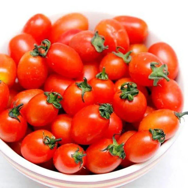 100 Seeds Mini red Tomato Seeds Non-GMO Solanum lycopersicum Fruit Garden Seeds