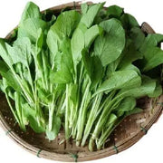 Choy Sum Seeds Brassica Integrifolia Gunsho Asian Green Seeds CAI Ngot Non-GMO Seeds - The Rike Inc