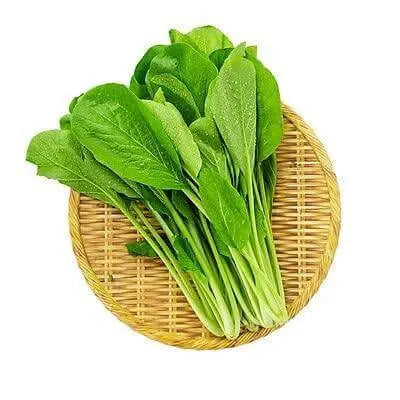 Choy Sum Seeds Brassica Integrifolia Gunsho Asian Green Seeds CAI Ngot Non-GMO Seeds - The Rike Inc