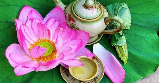 Dried Lotus Flower Tea Herbal Tea Whole Blossom Herb Tea 100 gram - The Rike Inc