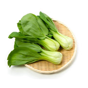 1500 Seeds - Green Bok Choy Seeds - Sweet Cabbage Salad Seeds for Planting Pok Choy bok Choi Chinese White Cabbage Chinese Cabbage | Vegetable Non-GMO Seeds & Easy to Grow - The Rike Inc