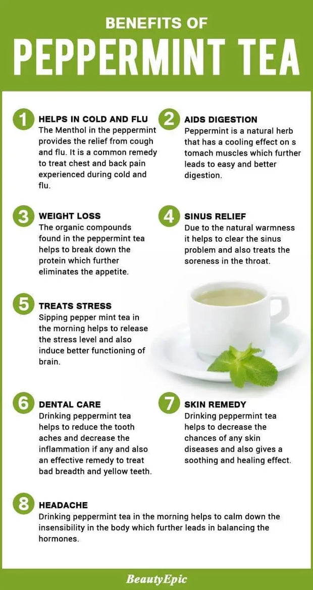100-gram Peppermint Tea Leaf Herbal Tea Mentha balsamea Mint Tea Mentha Piperita for Boost Energy