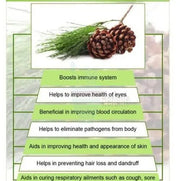170 Gram (6 OZ) Dehydrated Pine Needle Herbal Tea USA Organic Fresh Eastern White Pine Needle Tea Herbal Tea Pine Needles Leaves Smudging Incense Pine Tea - The Rike Inc