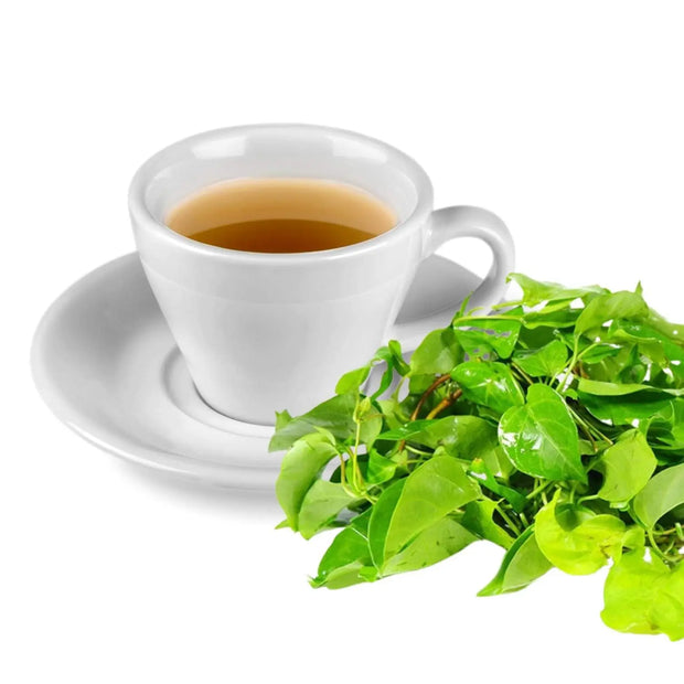 100-gram Dried River Leaf Creeper (Aganonerion polymorphum) River Leaf Vine, Vietnamese La Giang Herbal Tea | Sour Leaf Creeper, Sour-Soup Creeper La Lom
