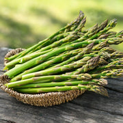 100 Seeds Asparagus Seeds for Planting Non-GMO Vegetable Seeds Garden Seeds