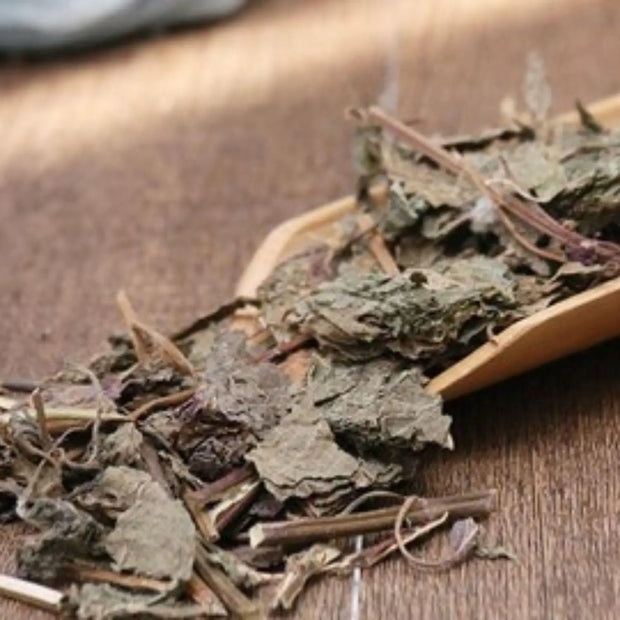 100 gram - Dried Perilla Leaf Tea | Perilla Frutescens Herbal Tea, Perilla Folium Zisuye (Zi Su Ye) Purple Perilla | Ideal for Brewing and Drinking | Shiso Leaf Beefsteak Plant Purple Mint Tea