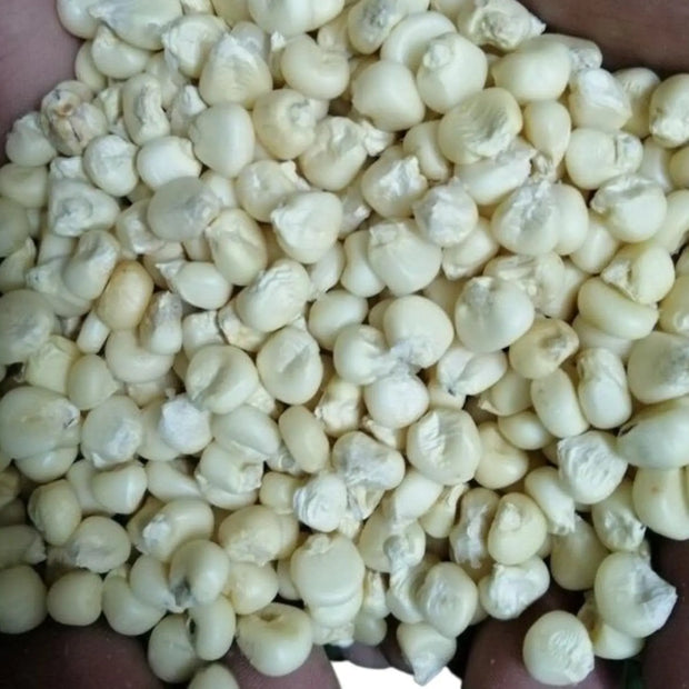100 Seeds - Waxy Corn Seeds or Sticky Corn Seeds for Planting - Bap NEP Deo, Sweet Corn, Sticky Corn - Glutinous Corn or White Corn Sticky Sweet Corn Seeds - Non-GMO & Easy to Grow The Rike