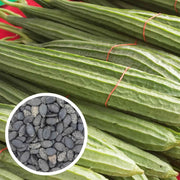 100 Seeds - Luffa Seeds | Sponge Gourd (Ghosaval A.k.a Lufa) Seeds | Non-GMO & Heirloom Loofa Seeds for Planting Chinese Okra Or Loofah - The Rike